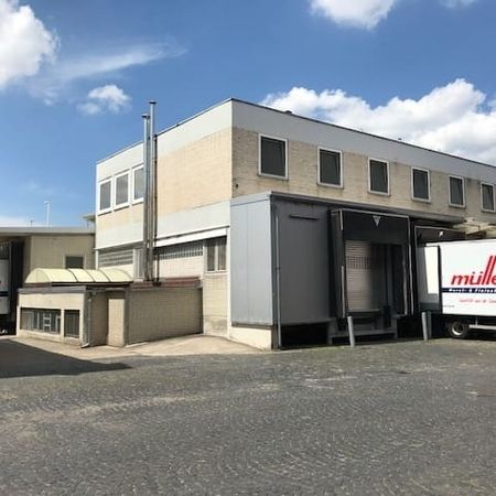 Die Fleischwarenfabrik